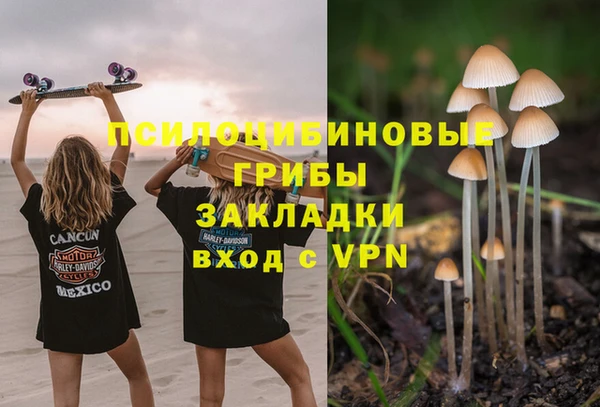 спайс Карталы