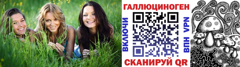 Псилоцибиновые грибы Cubensis гидра как войти Княгинино